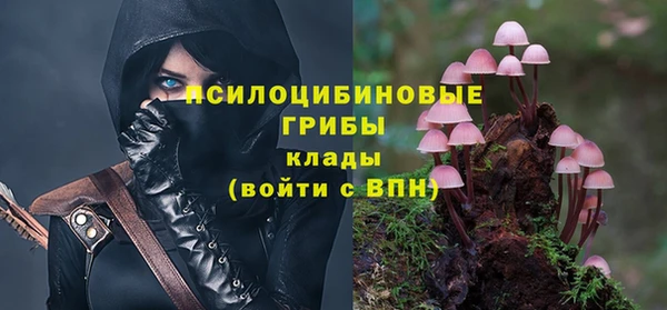 ECSTASY Абаза