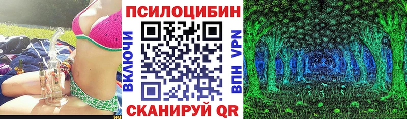 Псилоцибиновые грибы мицелий  ссылка на мегу как зайти  shop как зайти  Кингисепп 