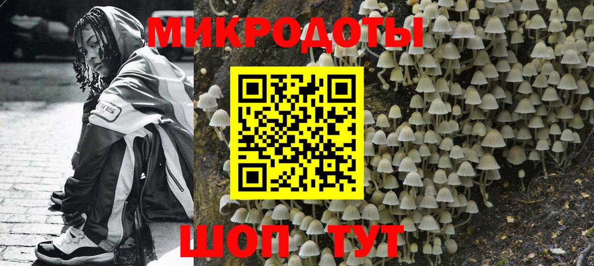 Галлюциногенные грибы прущие грибы Кингисепп