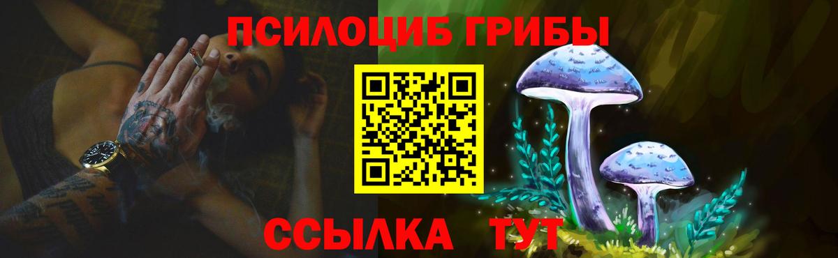 Кингисепп  Псилоцибиновые грибы Magic Shrooms  как найти   Вход с VPN  Галлюциногенные грибы прущие грибы 