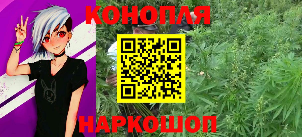 Каннабис сатива  Бошки Шишки конопля  Конопля индика  Кингисепп  Вход с VPN 